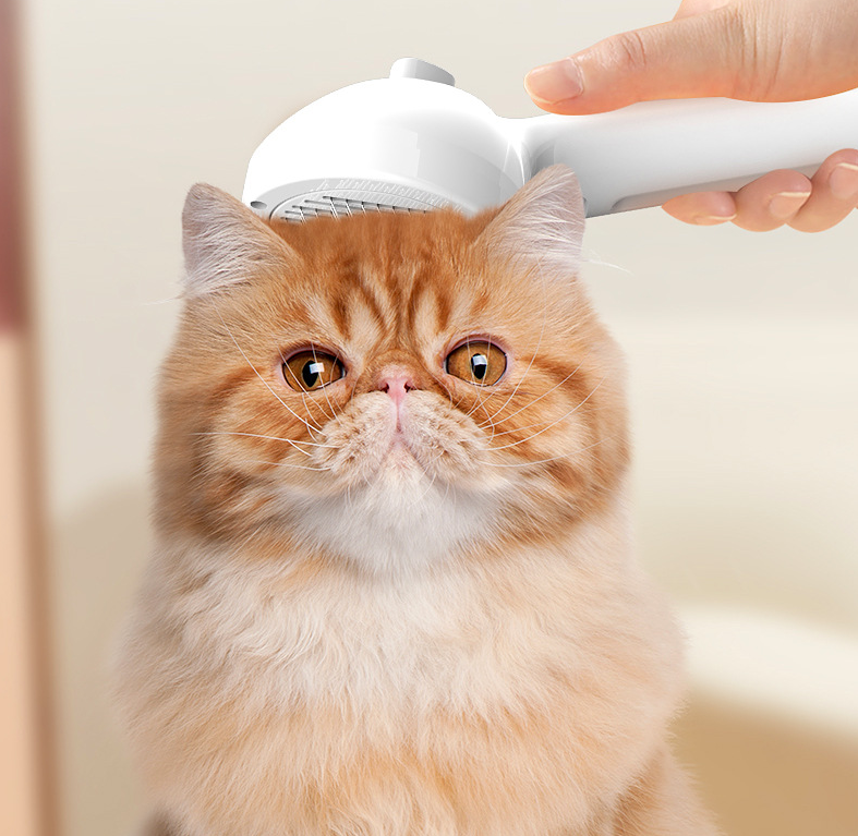 Pet slicker brush with mist spray