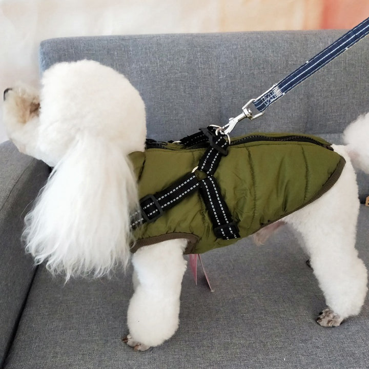 Dog wearing a waterproof padded coat