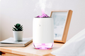 Mini USB Humidifier 260ml With Warm Night Light For Car And Home