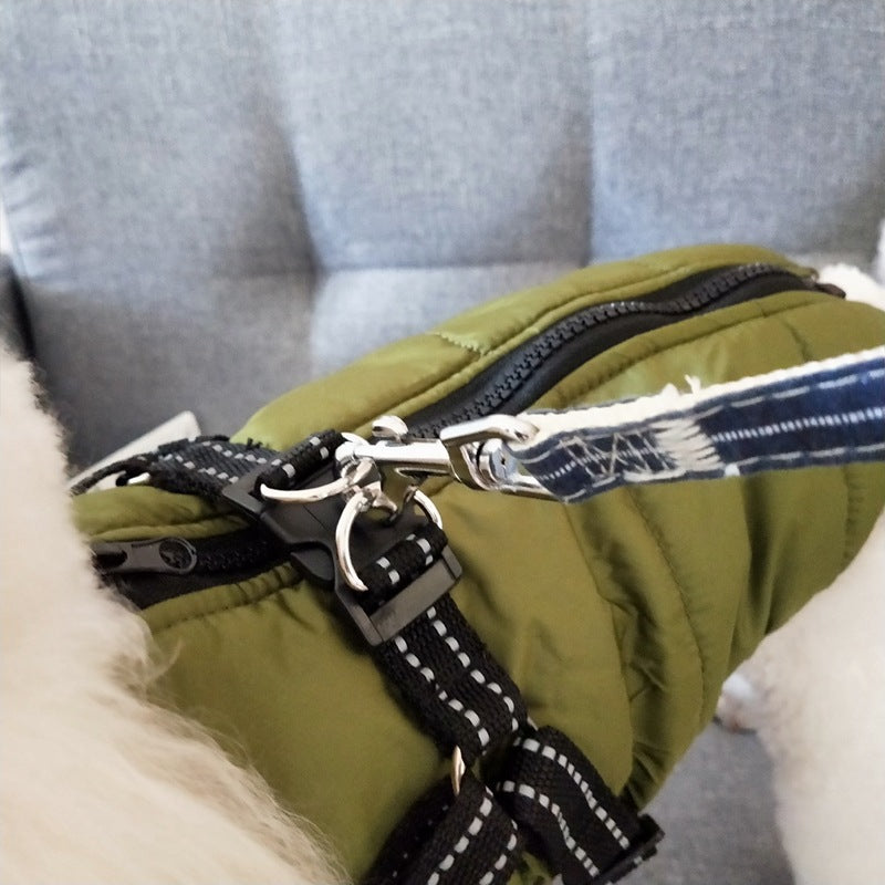 Dog wearing a waterproof padded coat