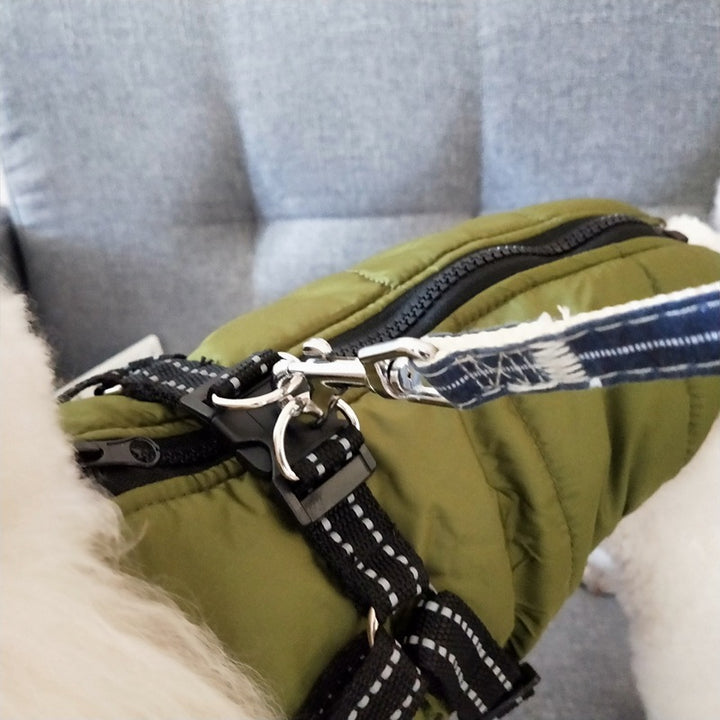 Dog wearing a waterproof padded coat
