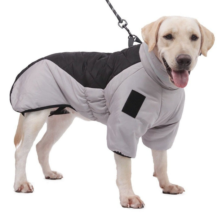Cosycombe Padded winter coat for medium and large dogs