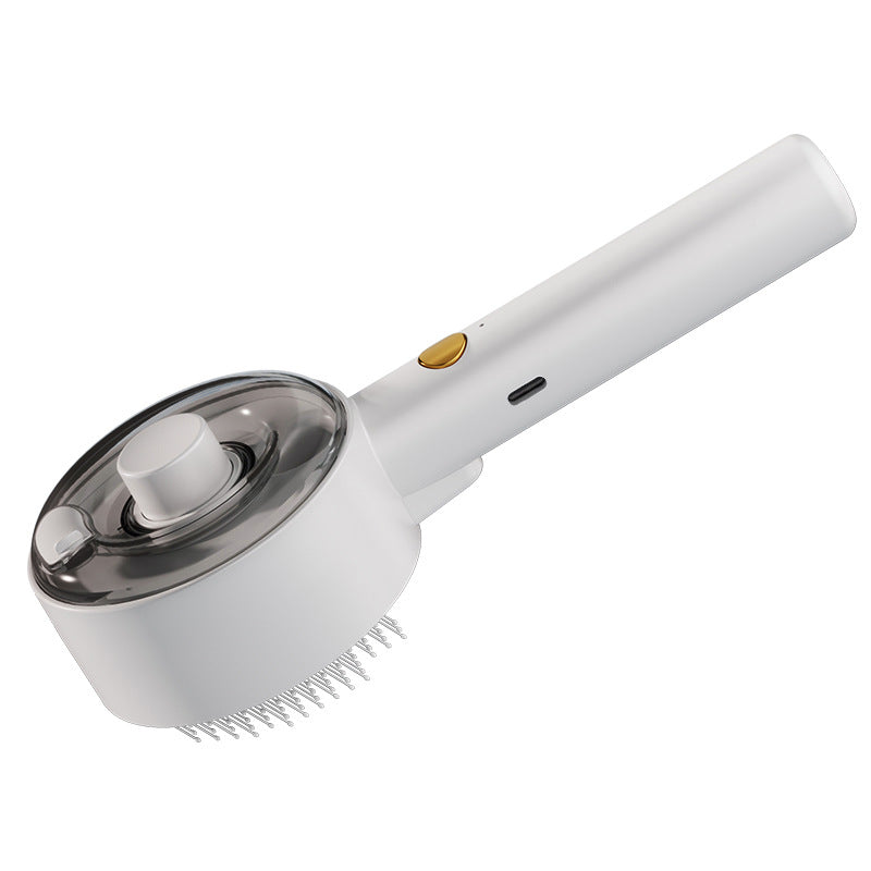 Pet spray grooming brush with mist