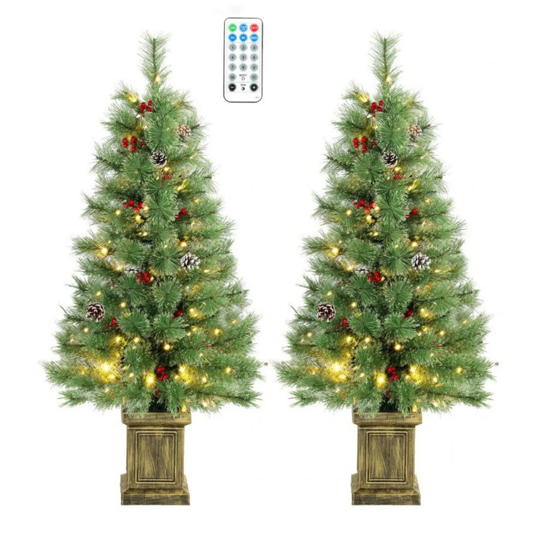 Two pine trees in retro pots