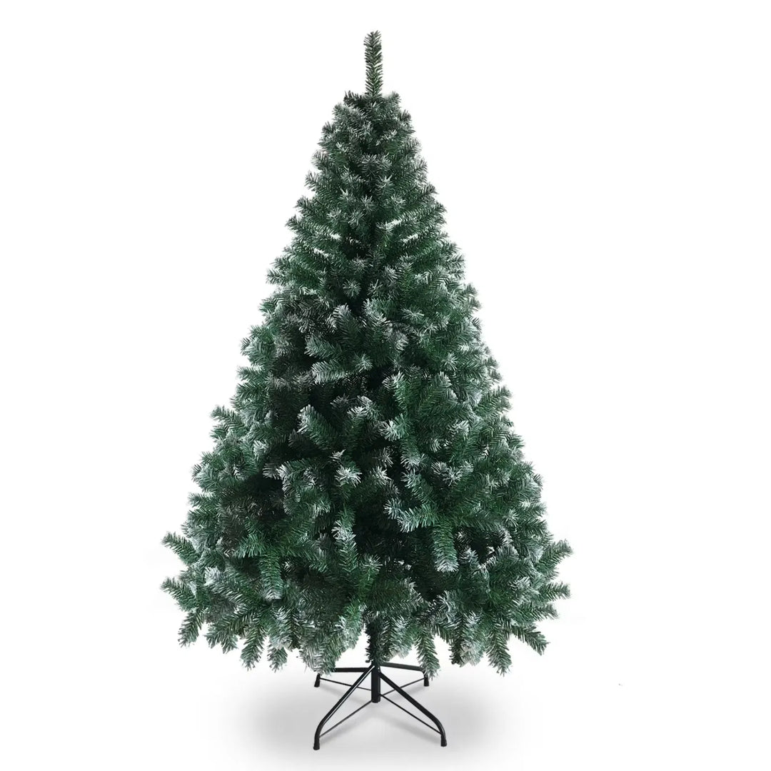 Light green tree with white branch tips