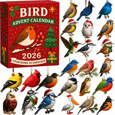 Cosycombe Advent calendar with 24 acrylic figure ornaments