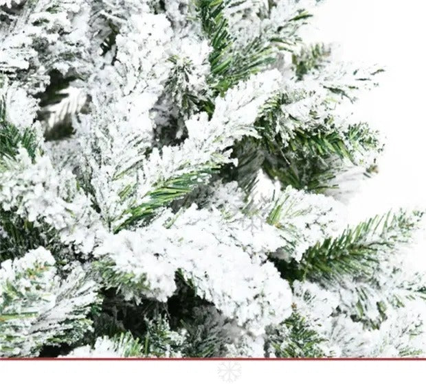 Snow-flocked unlit pine tree