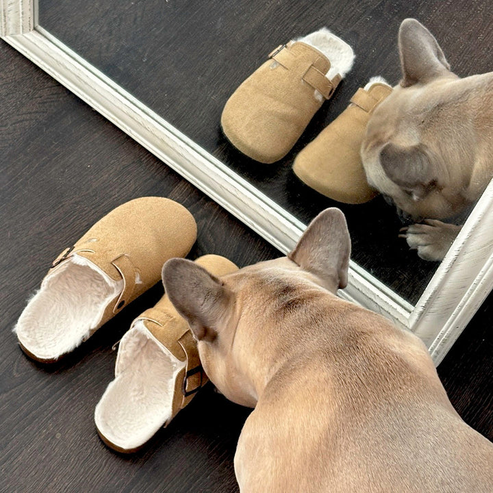 Cosycombe™ Suede Clogs with Faux Fur Lining and Cork Footbed