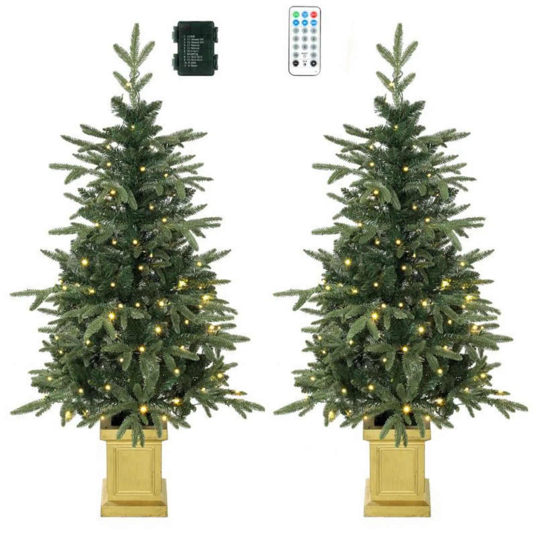 Two potted fir trees in gold pots