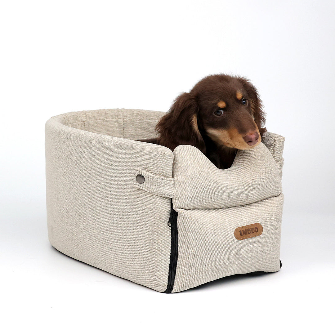 Small dog in armrest car seat