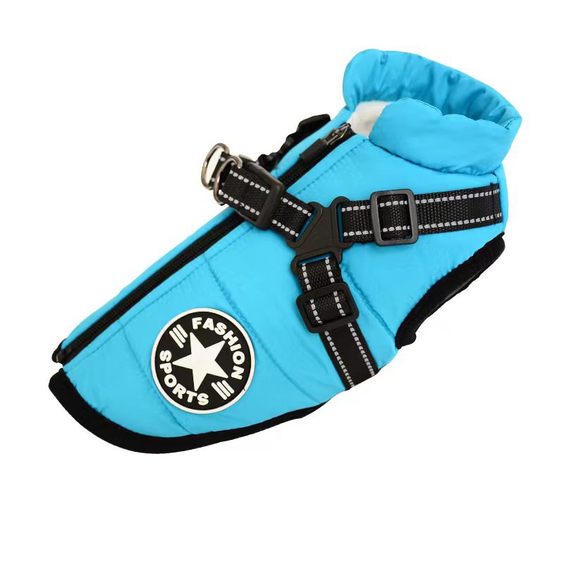 Dog wearing a waterproof padded coat