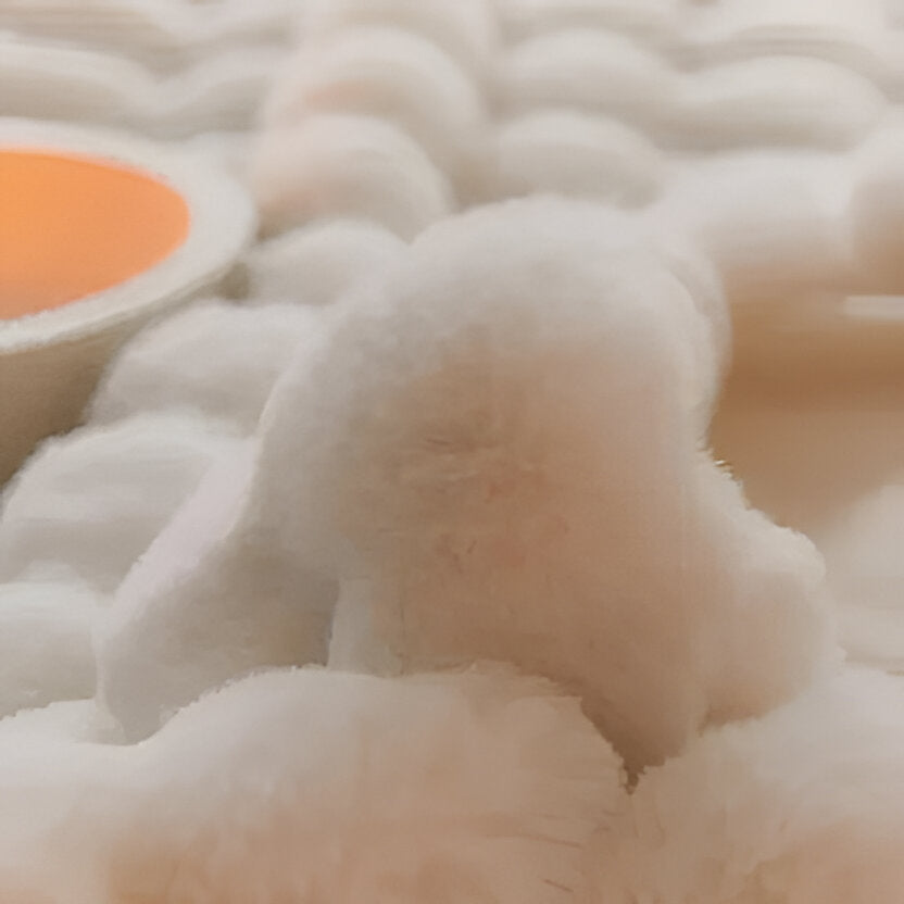Cosycombe™ Soft Plush All-Season Blanket with Minimal Elegant Design